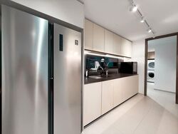Kopar At Newton (D9), Apartment #553775341